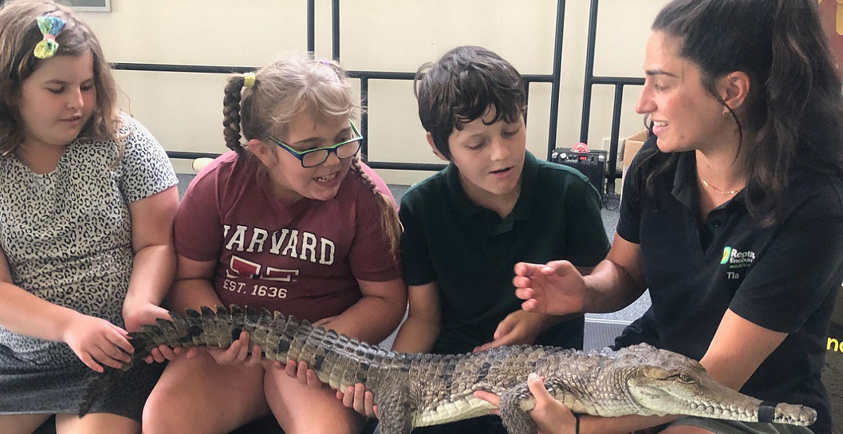 reptiles summer recreation program