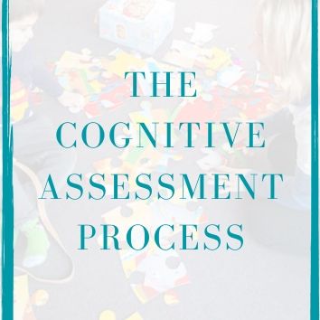 The cognitive assessment process