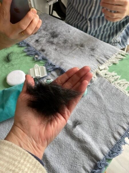 Wad of hair in persons hand