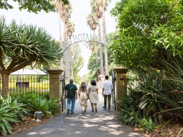 Geelong Botanic Gardens picnic & cricket