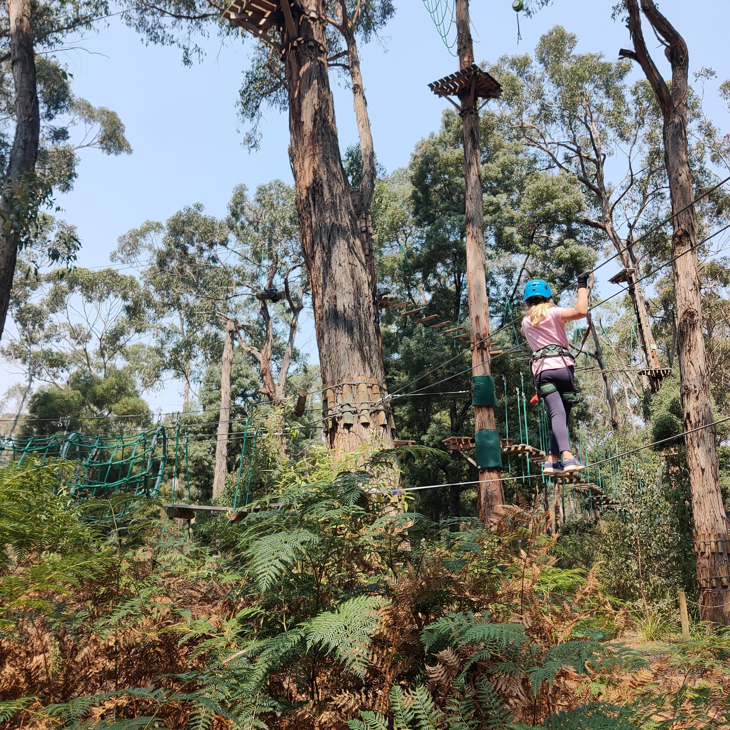 Yeodene Treetop Adventures Gateways Support Services Inc.