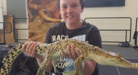 BVS Excursion- Reptiles (Greenville)